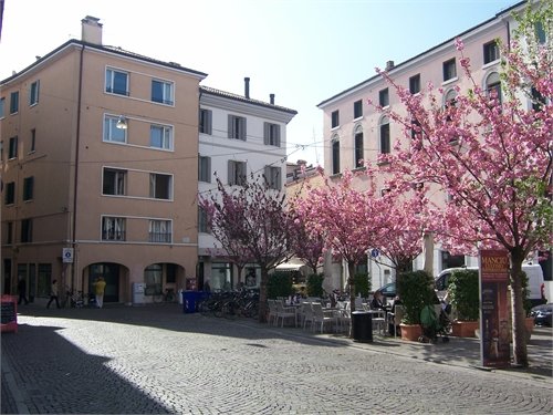 piazzapolaindirezionedellascuola.jpg