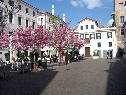 piazzapolazonapedonale.jpg